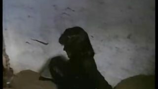 कैमरे के सामने भावुक गुदा मैथुन हिंदी सेक्स वीडियो मूवी एचडी